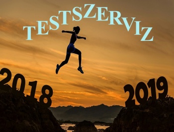2018 a Testszerviz Éve!