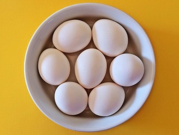 1 db tojás: tényleg minden tápanyagot tartalmaz?
