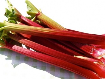 Rebarbara